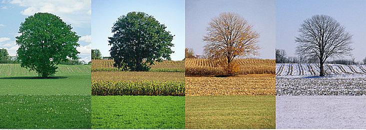 财宝公司成立30周年 公布正在开发神秘游戏