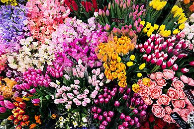 《完蛋！我被美女包围》DLC发售 女主夏天人气第一